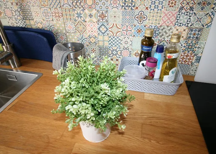 Downtown Dreams פארו